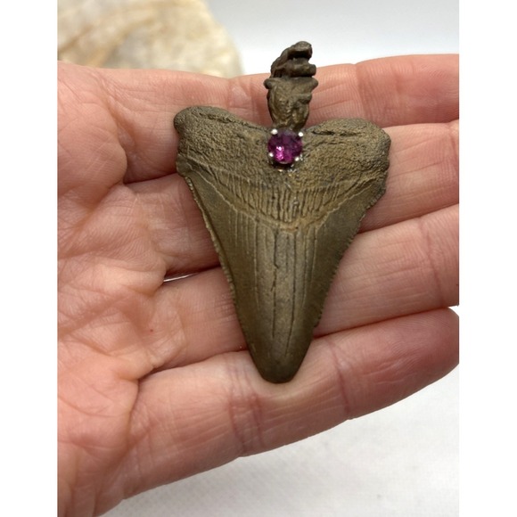 Jewelry - Vintage Bronze Coated Megalodon ? Tooth Pendant Genuine Tourmaline Accent Shark